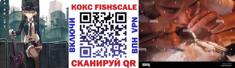 COCAIN Fish Scale  Купить где  Сосновый Бор 
