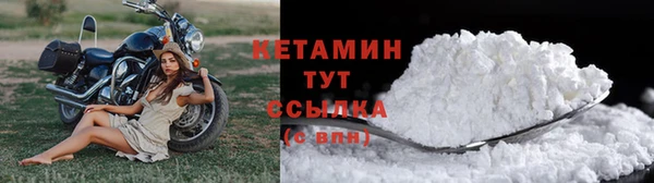 трава Белокуриха