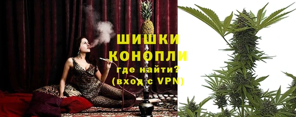 трава Белокуриха