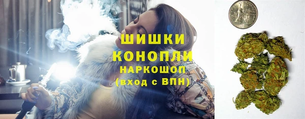 трава Белокуриха