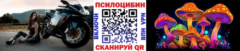 Купить закладки  Сосновый Бор  Галлюциногенные грибы прущие грибы 